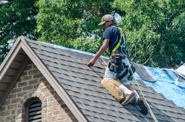 Best Best Roofing Contractors  in Frankston, TX